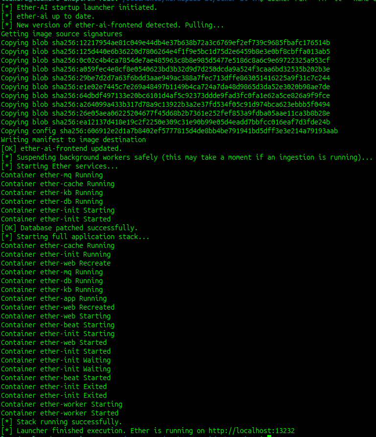 Terminal output of Ether Launcher
